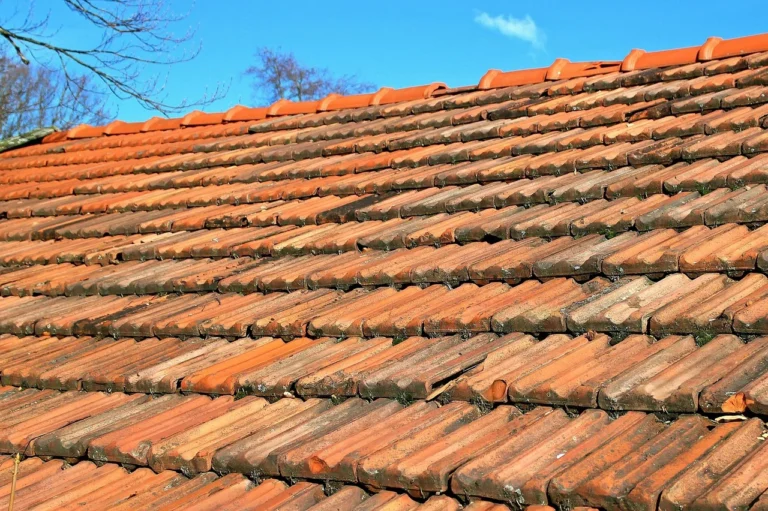 Choosing the Right Roofing Material for Your Home